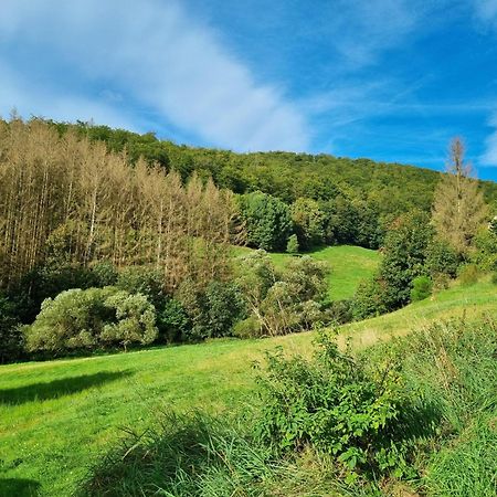 فيلا Das-Urlaubszuhause-Fuer-Familien-Grossfamilien-Mehrfamilien-Und-Kleine-Gruppen-Bis-Zum-12-Personen-Mit-Vielen-Unterhaltungsmoeglichkeiten-Im-Harz Sieber المظهر الخارجي الصورة