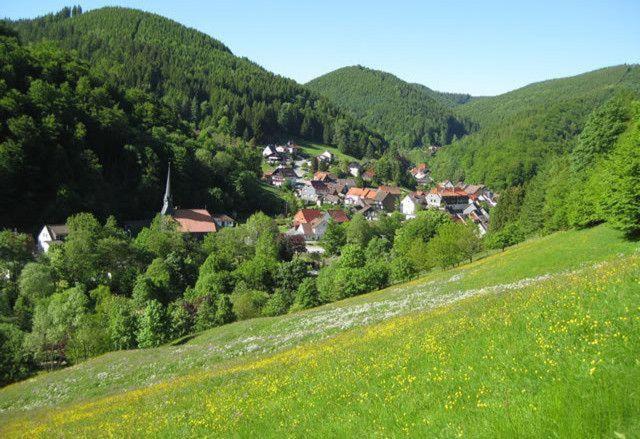 فيلا Das-Urlaubszuhause-Fuer-Familien-Grossfamilien-Mehrfamilien-Und-Kleine-Gruppen-Bis-Zum-12-Personen-Mit-Vielen-Unterhaltungsmoeglichkeiten-Im-Harz Sieber المظهر الخارجي الصورة