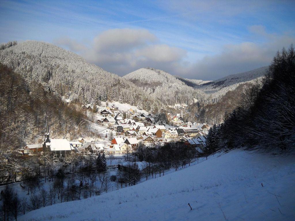 فيلا Das-Urlaubszuhause-Fuer-Familien-Grossfamilien-Mehrfamilien-Und-Kleine-Gruppen-Bis-Zum-12-Personen-Mit-Vielen-Unterhaltungsmoeglichkeiten-Im-Harz Sieber المظهر الخارجي الصورة