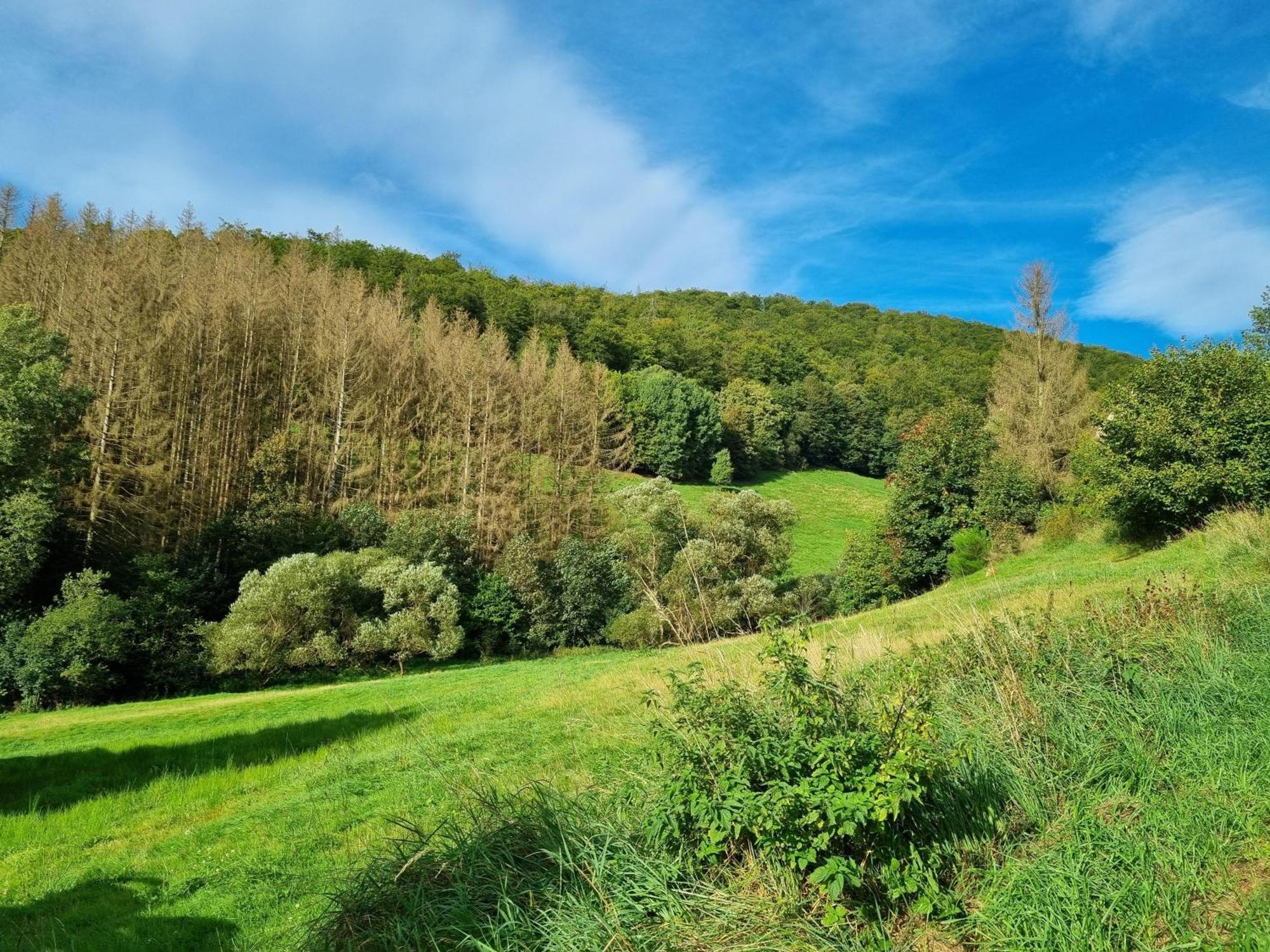 فيلا Das-Urlaubszuhause-Fuer-Familien-Grossfamilien-Mehrfamilien-Und-Kleine-Gruppen-Bis-Zum-12-Personen-Mit-Vielen-Unterhaltungsmoeglichkeiten-Im-Harz Sieber المظهر الخارجي الصورة