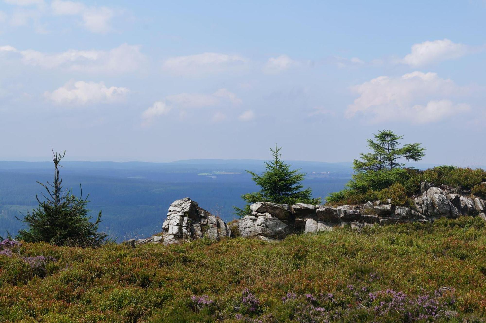 فيلا Das-Urlaubszuhause-Fuer-Familien-Grossfamilien-Mehrfamilien-Und-Kleine-Gruppen-Bis-Zum-12-Personen-Mit-Vielen-Unterhaltungsmoeglichkeiten-Im-Harz Sieber المظهر الخارجي الصورة