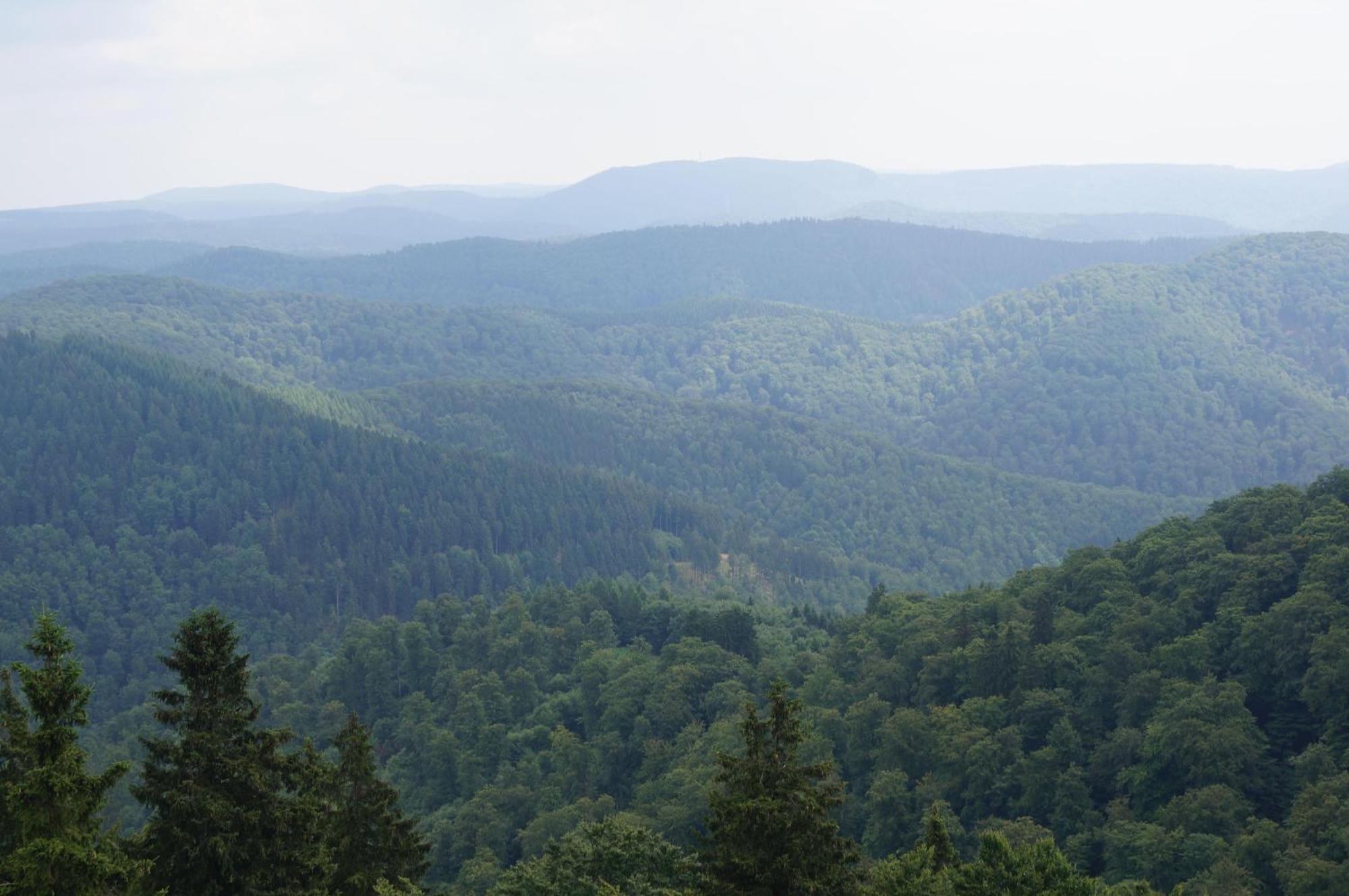 فيلا Das-Urlaubszuhause-Fuer-Familien-Grossfamilien-Mehrfamilien-Und-Kleine-Gruppen-Bis-Zum-12-Personen-Mit-Vielen-Unterhaltungsmoeglichkeiten-Im-Harz Sieber المظهر الخارجي الصورة