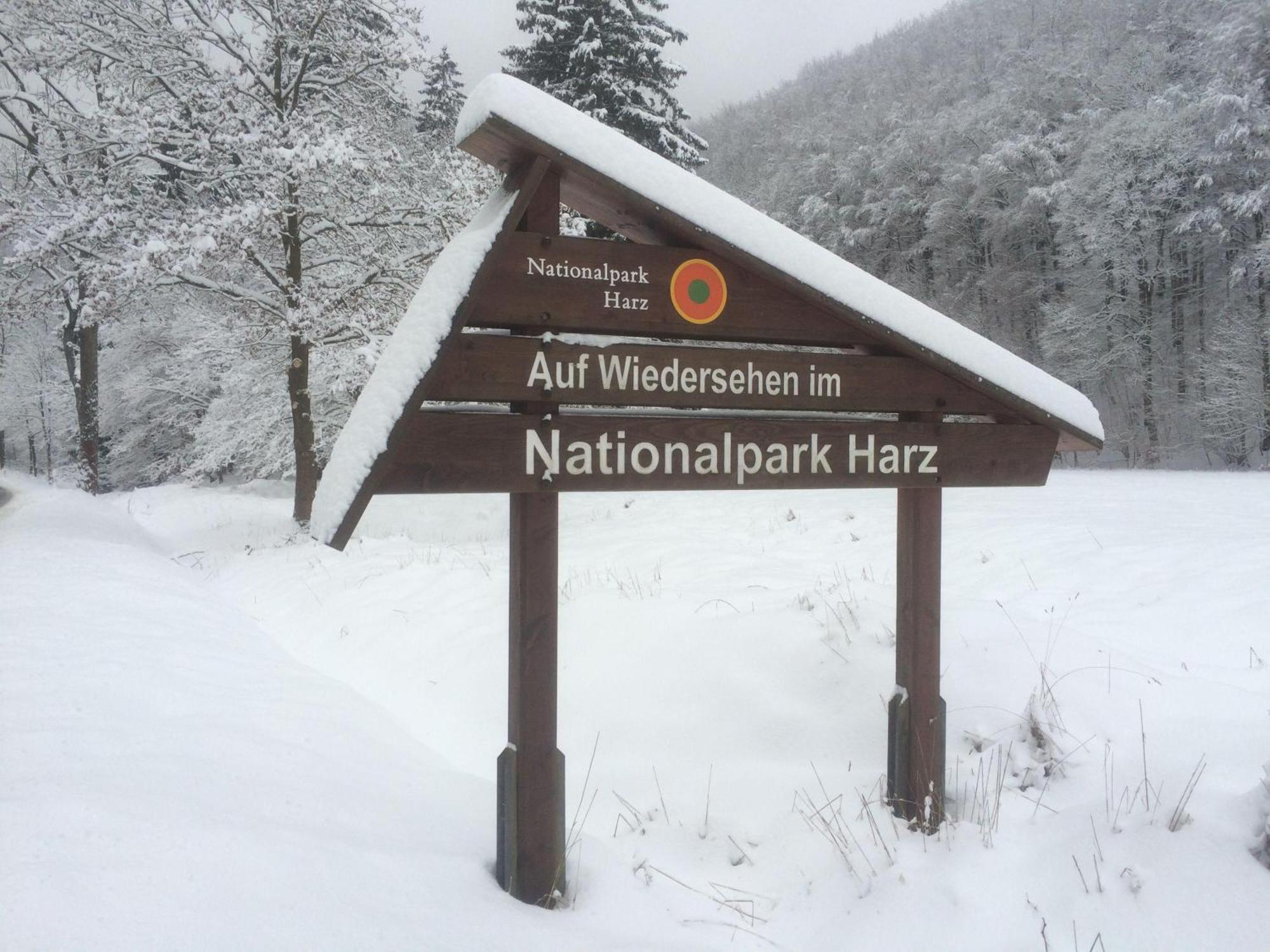 فيلا Das-Urlaubszuhause-Fuer-Familien-Grossfamilien-Mehrfamilien-Und-Kleine-Gruppen-Bis-Zum-12-Personen-Mit-Vielen-Unterhaltungsmoeglichkeiten-Im-Harz Sieber المظهر الخارجي الصورة