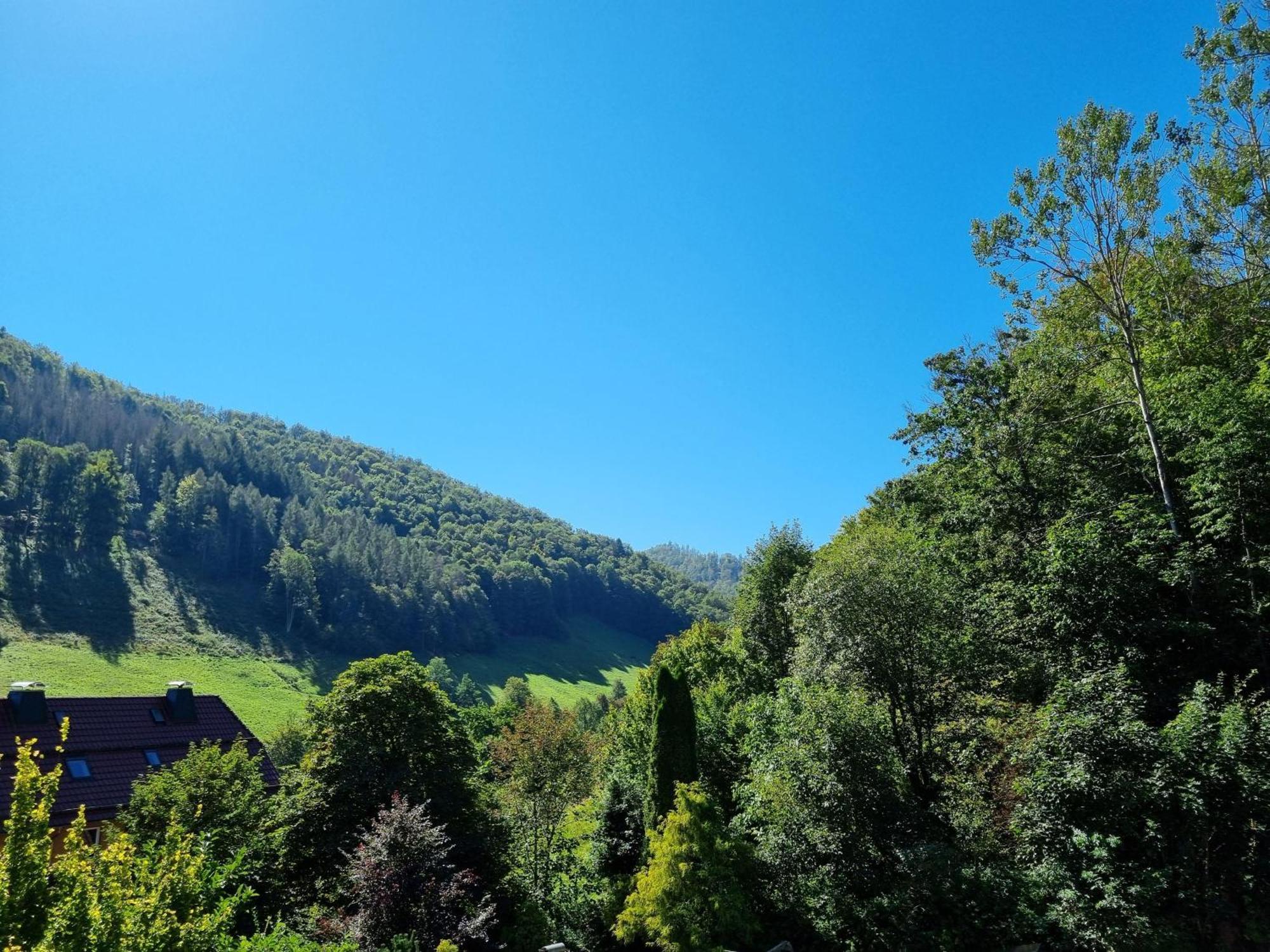 فيلا Das-Urlaubszuhause-Fuer-Familien-Grossfamilien-Mehrfamilien-Und-Kleine-Gruppen-Bis-Zum-12-Personen-Mit-Vielen-Unterhaltungsmoeglichkeiten-Im-Harz Sieber المظهر الخارجي الصورة